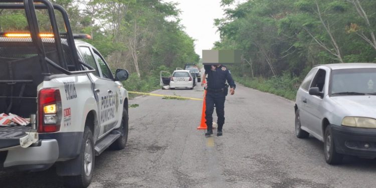 Hallazgo de cuatro personas asesinadas en Calakmul genera alarma en Campeche