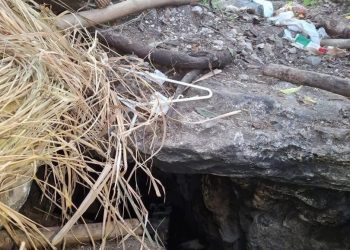 Encuentran personas que viven en cuevas en Playa del Carmen