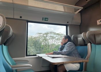  El Tren Maya y los 20 Siglos de Historia