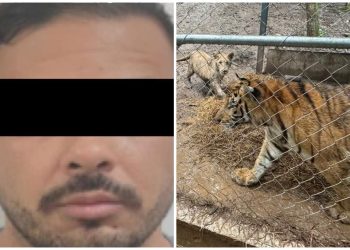José Antonio N detenido en operativo contra Cártel del Noroeste