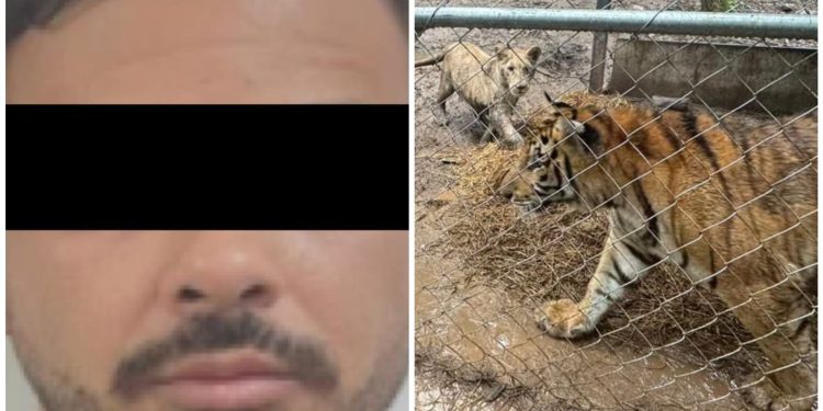 José Antonio N detenido en operativo contra Cártel del Noroeste