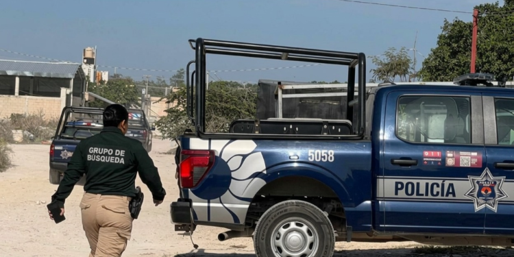 Elementos de seguridad y Fiscalía resguardan la zona donde fueron hallados dos cuerpos encintados en la Región 247 de Cancún.