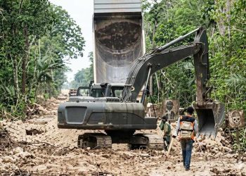 Obras del Tren Maya en Quintana Roo tras resolución judicial que negó una suspensión.