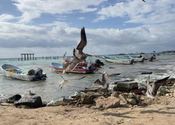 Embarcaciones y prestadores náuticos en Playa del Carmen afectados por el cierre del puerto y acumulación de sargazo en Playa Mamitas.