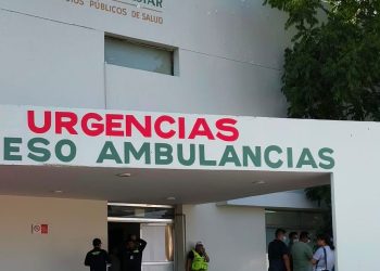 Personal de Protección Civil atiende un ataque de abejas en Playa del Carmen.