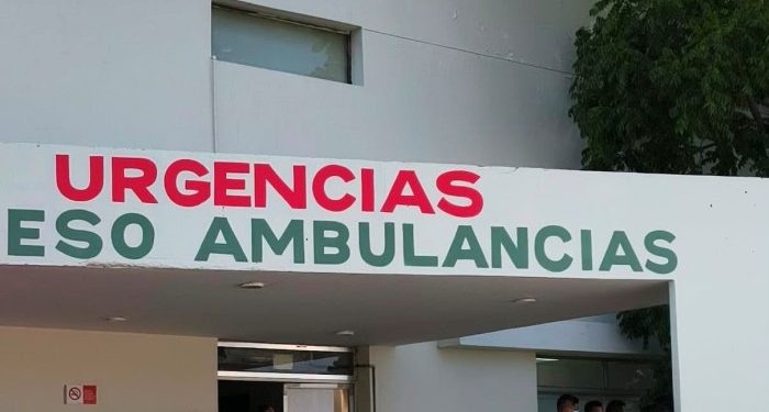 Personal de Protección Civil atiende un ataque de abejas en Playa del Carmen.