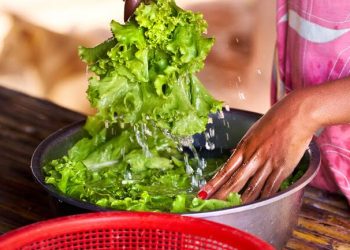 Coparmex Cancun llama a reforzar la inocuidad alimentaria