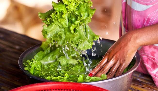 Coparmex Cancun llama a reforzar la inocuidad alimentaria