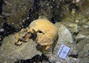 Especialistas del INAH realizan trabajos de investigación en un cenote de Playa del Carmen donde fueron localizados restos de una mujer milenaria.