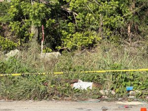 Autoridades resguardan la zona donde encontraron dos cuerpos a un costado de la carretera Puerto Morelos-Cancún.