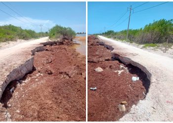 Impacto del sargazo en Mahahual