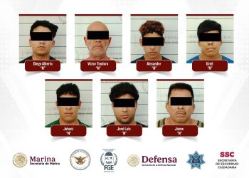 Narcoviveros en Quintana Roo