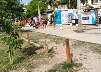 Playa pet friendly en Playa del Carmen