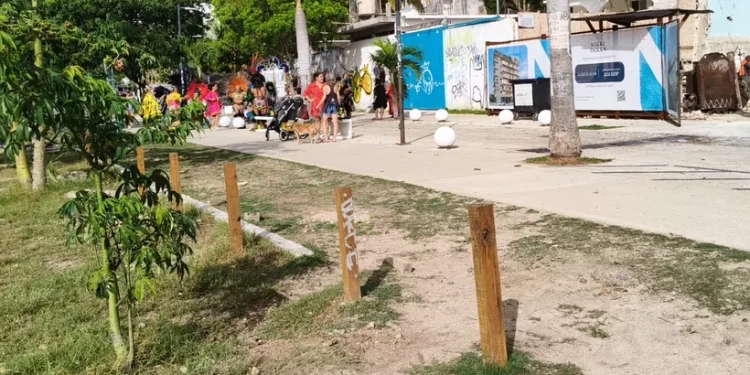 Playa pet friendly en Playa del Carmen