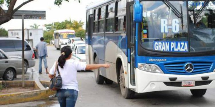 Nuevas unidades del transporte público circularán en Cancún como parte del proyecto de modernización de la movilidad urbana.