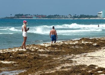 Grandes cantidades de sargazo acumuladas en una playa del Caribe mexicano.