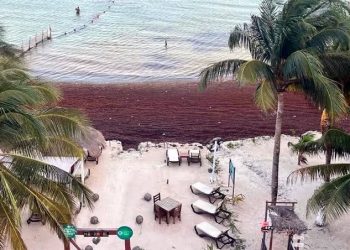 Crisis del sargazo en Mahahual
