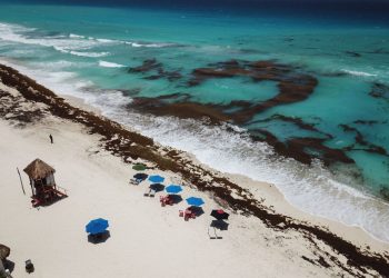 Acumulación de sargazo en una playa del Caribe Mexicano durante la temporada de verano.