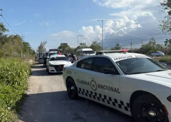 ejecutados en la carretera Playa del Carmen-Cancun