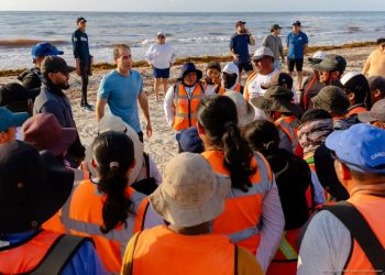 Brigadistas retiran cerca de 50 toneladas de sargazo durante una jornada de limpieza en Playa del Pueblo de Tulum