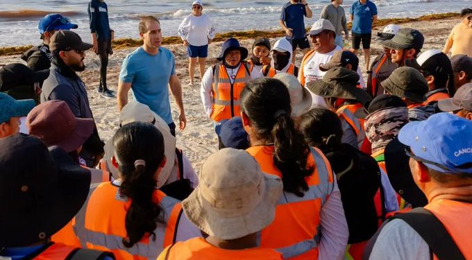 Brigadistas retiran cerca de 50 toneladas de sargazo durante una jornada de limpieza en Playa del Pueblo de Tulum