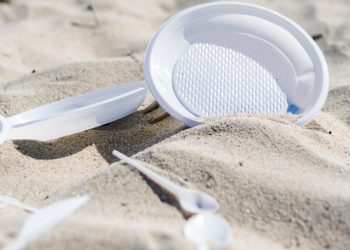 Comercio de Quintana Roo sustituye productos de plástico de un solo uso por alternativas biodegradables.