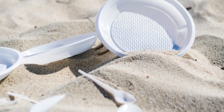 Comercio de Quintana Roo sustituye productos de plástico de un solo uso por alternativas biodegradables.