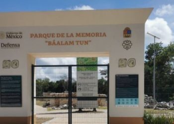 Obras del Tren Maya en los tramos 6 y 7 señaladas en una denuncia por presunto daño al patrimonio arqueológico.