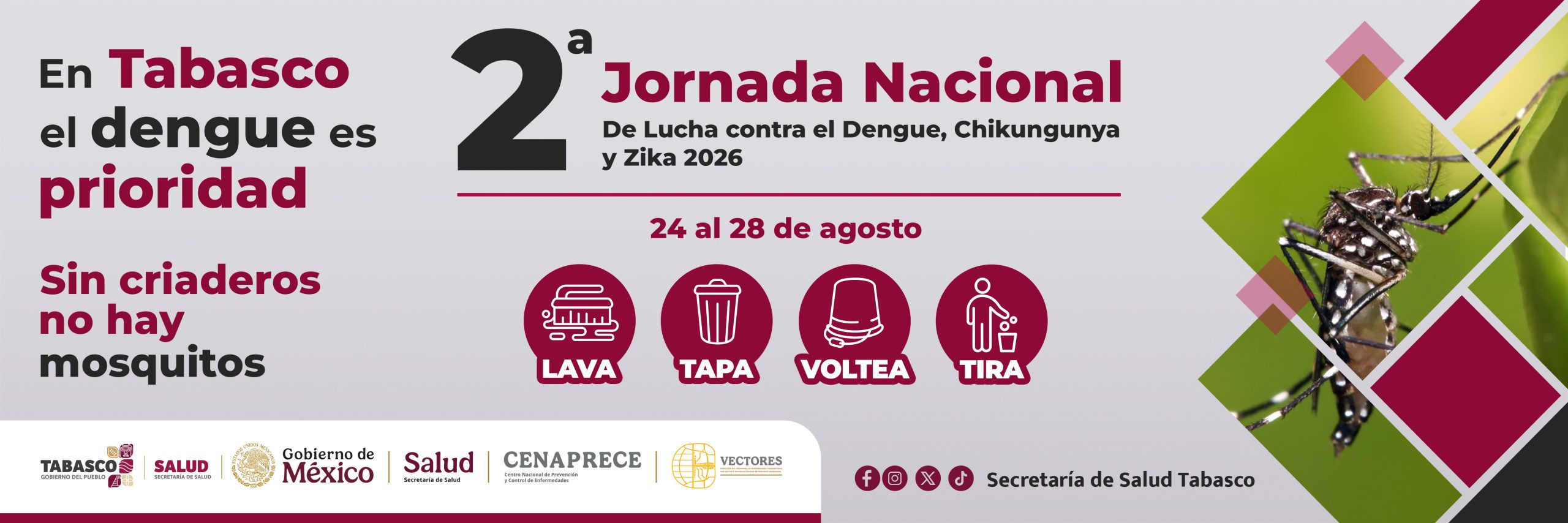 Jornada nacional dengue