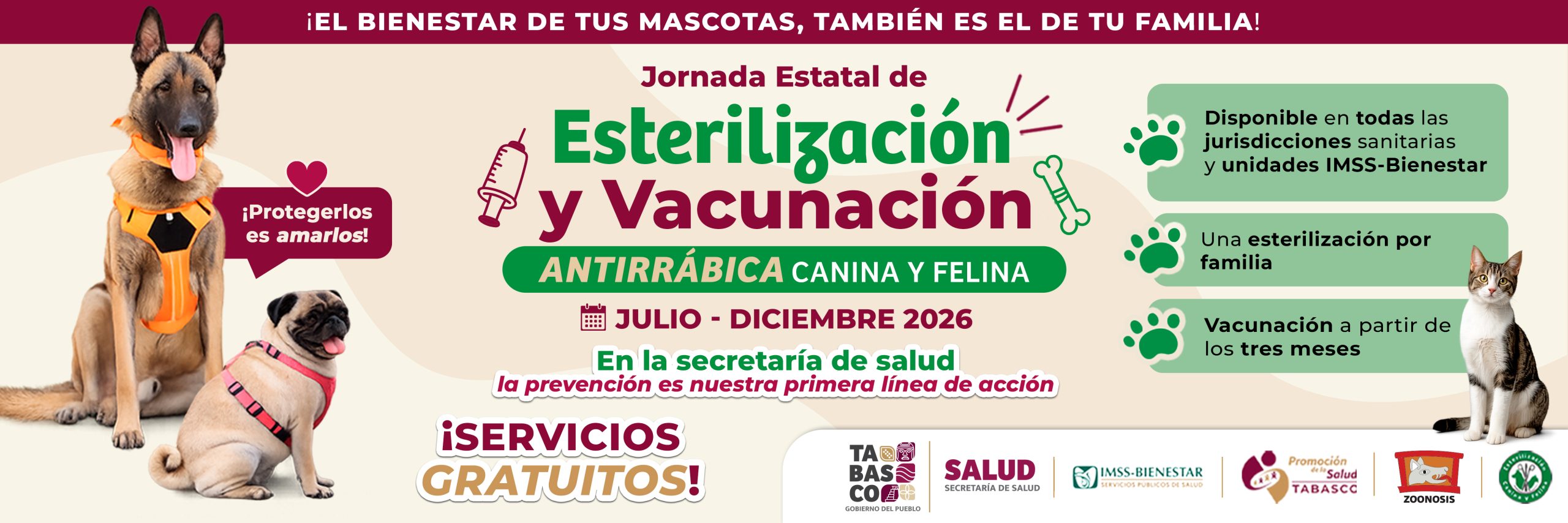 Esterilización y vacunación