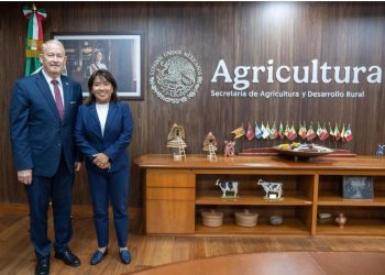 Exportación de aguacate a Estados Unidos