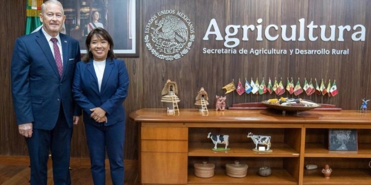 Exportación de aguacate a Estados Unidos