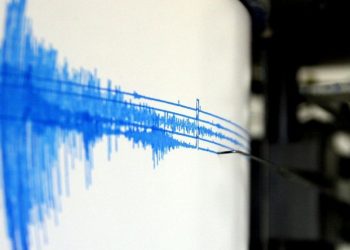 sismo-indonesia-magnitud-77-tsunami.webp