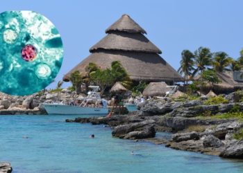 cofepris-descarta-cyclospora-riviera-maya.webp