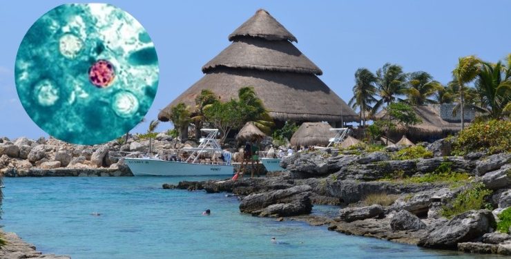 cofepris-descarta-cyclospora-riviera-maya.webp