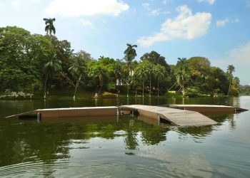 refugios-cocodrilos-manaties-villahermosa.webp