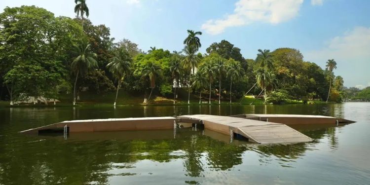 refugios-cocodrilos-manaties-villahermosa.webp