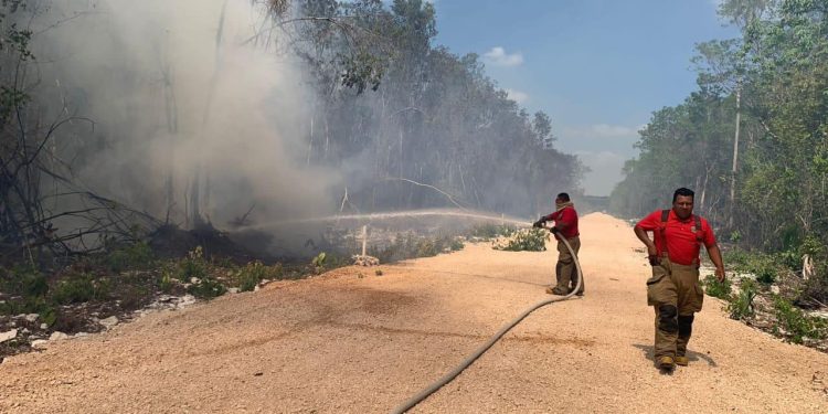 Elementos combaten incendio forestal cerca de las colonias Nuevo Amanecer, La Chiapaneca y El Porvenir de Cancún