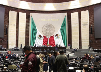 Aproban la 'Ley Nicole' en Quintana Roo