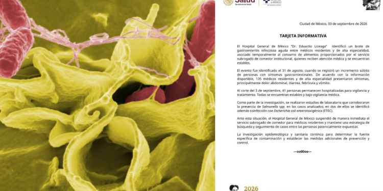 Cae el personal médico: salmonelosis masiva intoxica a más de 100 doctores en el Hospital General de México