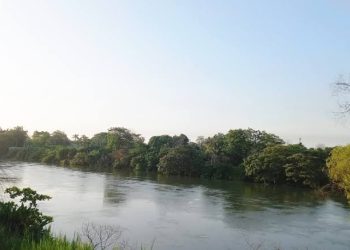 Clima para Tabasco: lluvias fuertes en el este y calor de hasta 40 °C