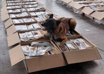 Autoridades aseguran más de una tonelada de presunta cocaína en un cargamento de café en el AICM