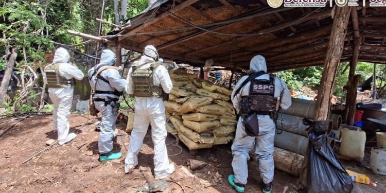 Desmantelan cuatro laboratorios clandestinos y aseguran más de 10 toneladas de químicos en Michoacán y Guerrero