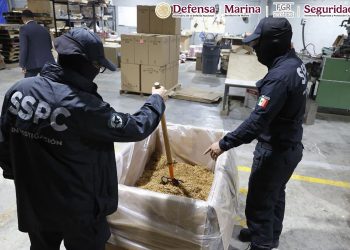bodega de cigarros apócrifos